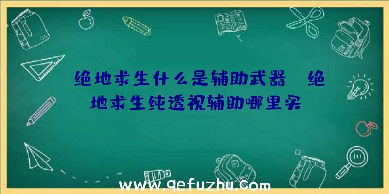 「绝地求生什么是辅助武器」|绝地求生纯透视辅助哪里买